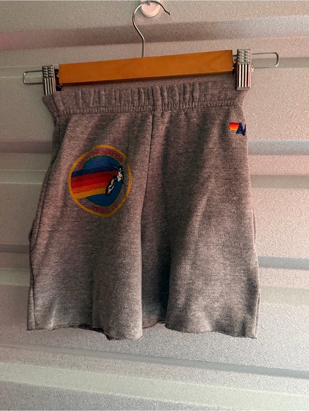 Aviator nation sweat short